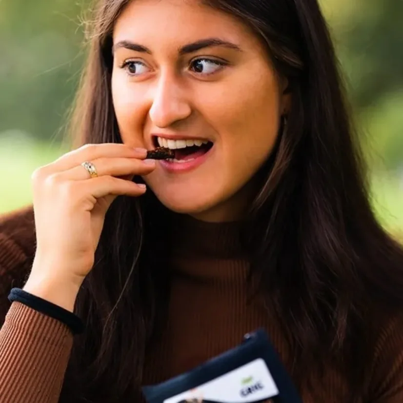 Grig Křupavé kobylky Chilli