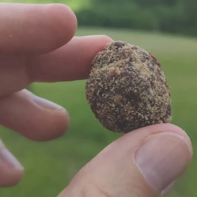 Tactical Foodpack kakaová gulička sušená mrazom