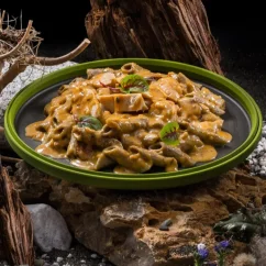 Adventure Menu & Sens Cricket protein penne with Creole creamy chicken Adventure Menu & Sens Cricket protein penne with Creole creamy chicken