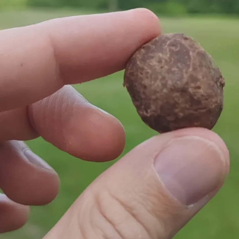 Tactical Foodpack rumová kulička sušená mrazem