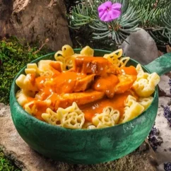 Adventure Menu Creamy paprika chicken with pasta for kids Adventure Menu Creamy paprika chicken with pasta for kids