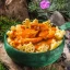 Adventure Menu Creamy paprika chicken with pasta for kids Adventure Menu Creamy paprika chicken with pasta for kids