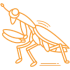 Sušený jedlý hmyz