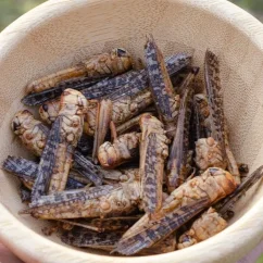 Grig Crunchy grasshoppers Salt Grig Crunchy grasshoppers Salt