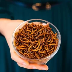 Sušený jedlý hmyz Grig Sušený jedlý hmyz Grig