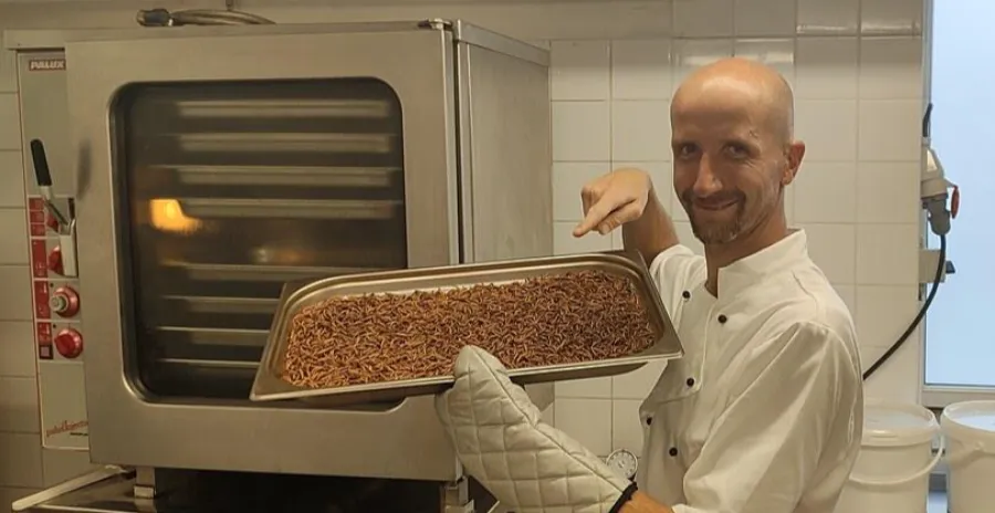 zaměstnanec vkládá plechy s usmrceným hmyzem do konvektomatu pro účely jeho vysušení