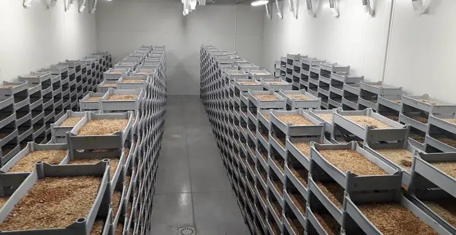 pohled do interiéru certifikované hmyzí farmy, kde se nachází přepravky se živým hmyzem