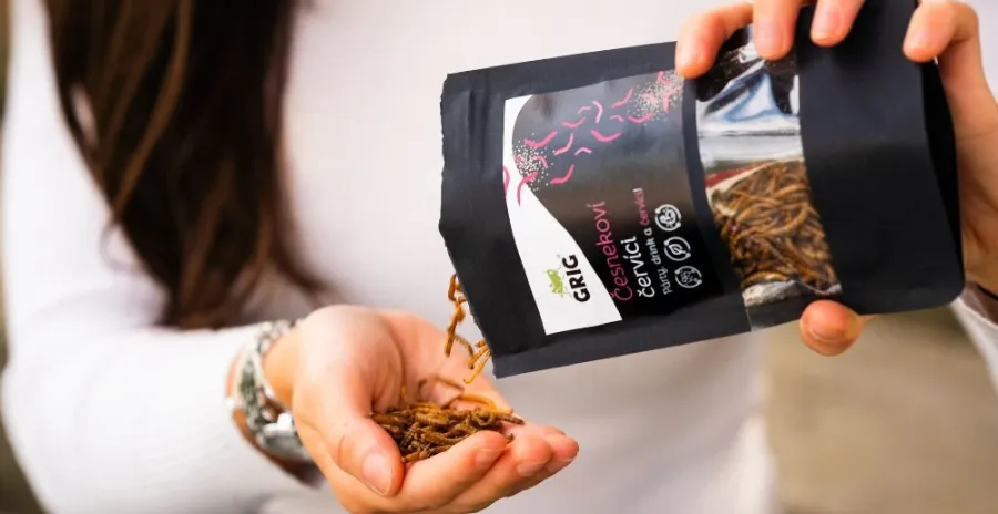 mladá žena vysypává sušené červíky z balení Grig do své ruky